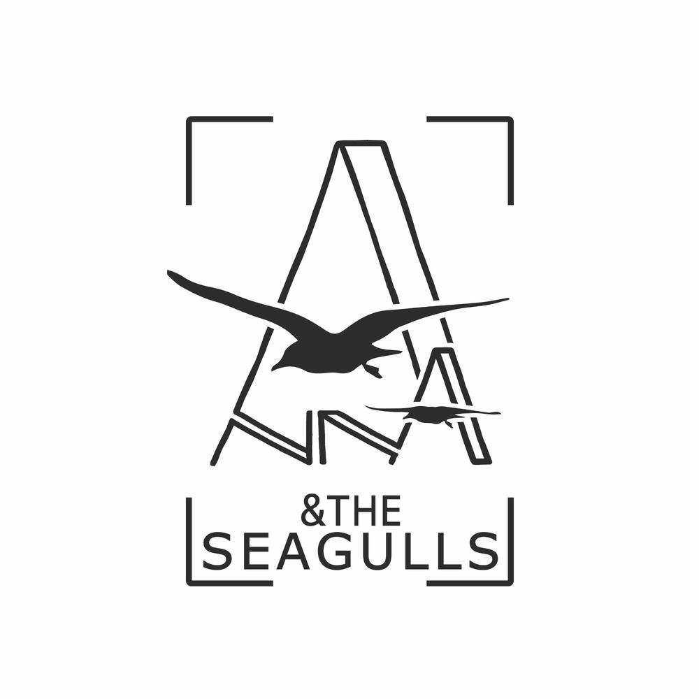 Photo de l'artiste Anna and the seagulls