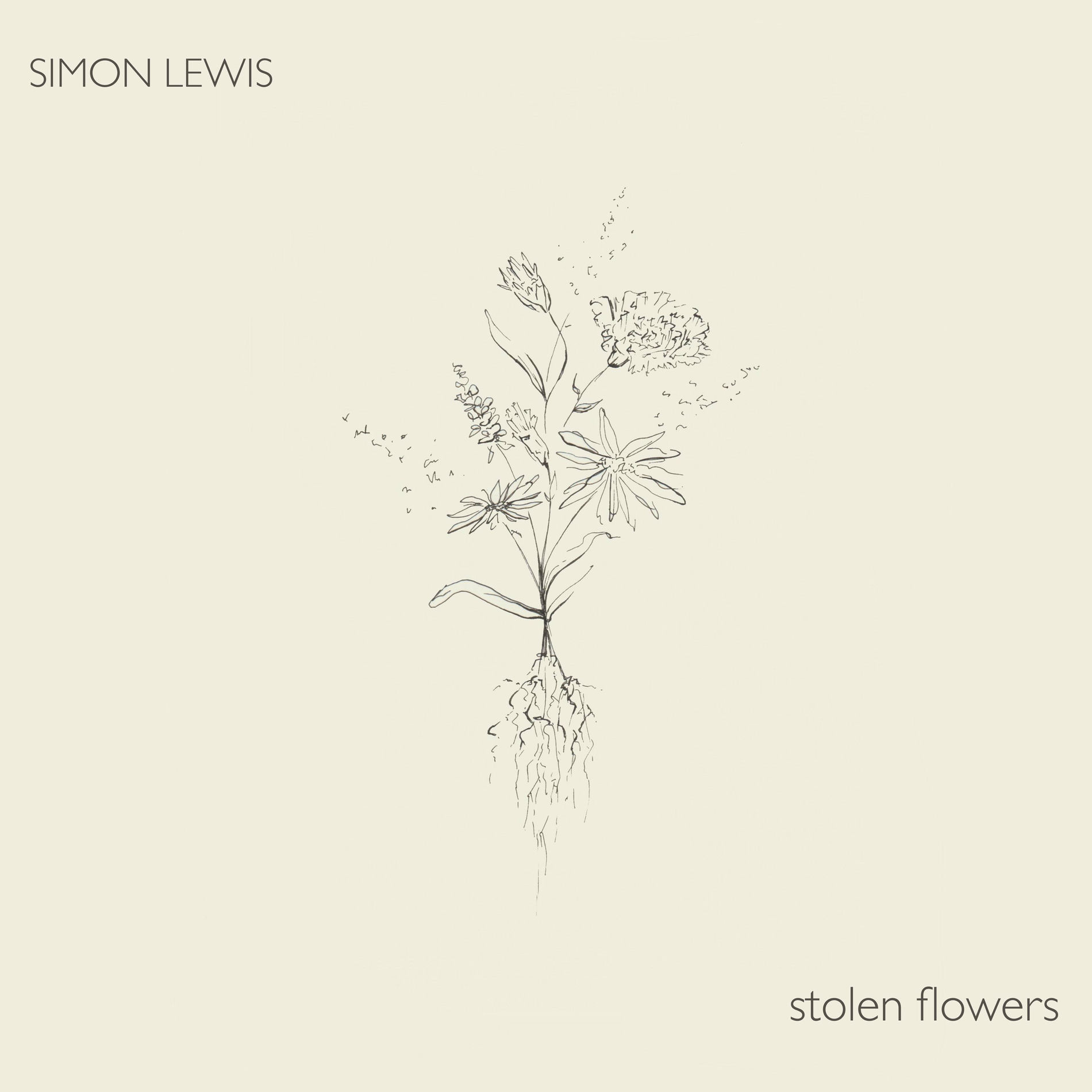Artist picture of Simon Lewis