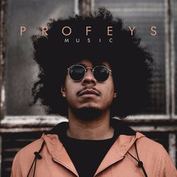 Picture of Profeys