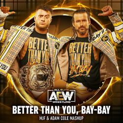 Picture of All Elite Wrestling
