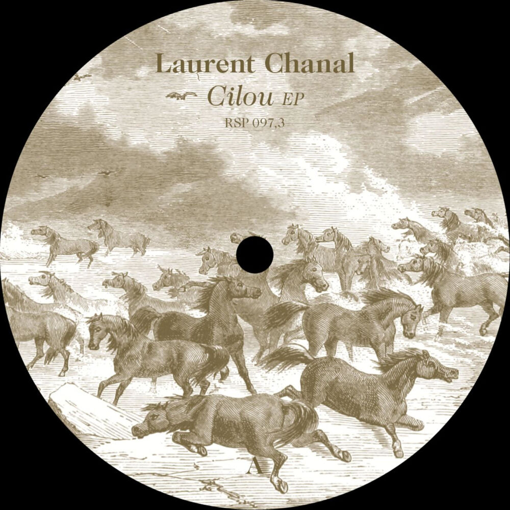 Picture of Laurent Chanal