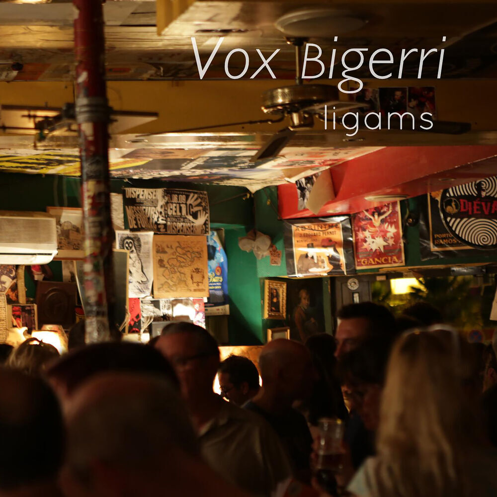 Picture of Vox Bigerri