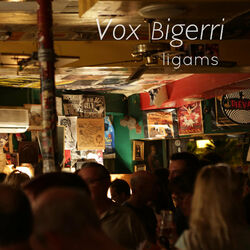 Picture of Vox Bigerri