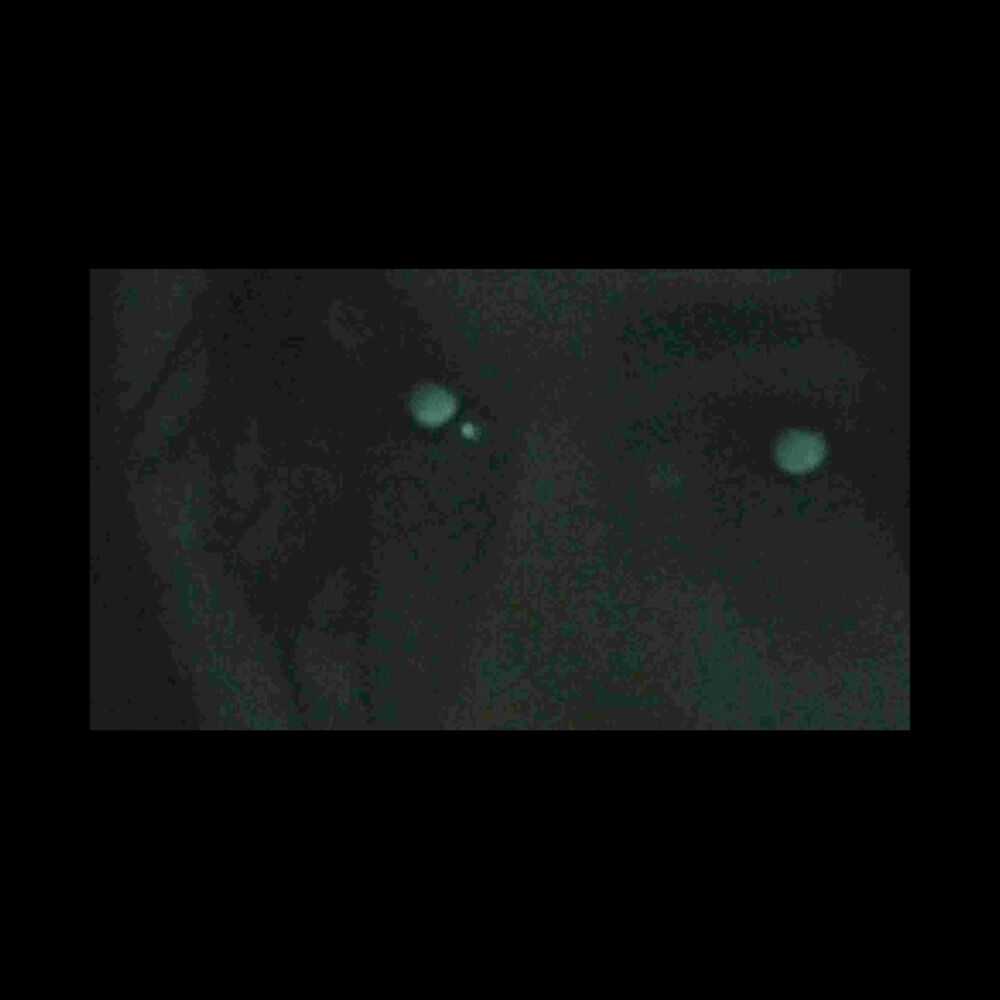Picture of notinbed