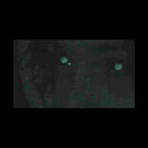 notinbed