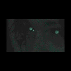 Picture of notinbed