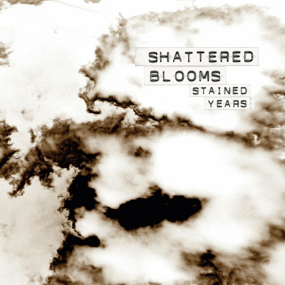 Picture of Shattered Blooms