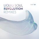 Liquid Soul