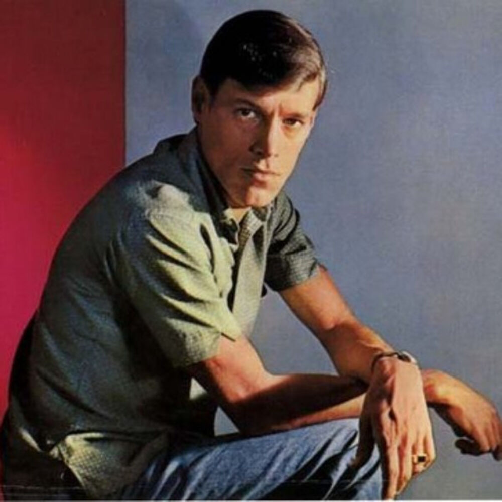 Picture of Orlandivo