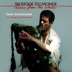 Picture of Saeid Shanbehzadeh