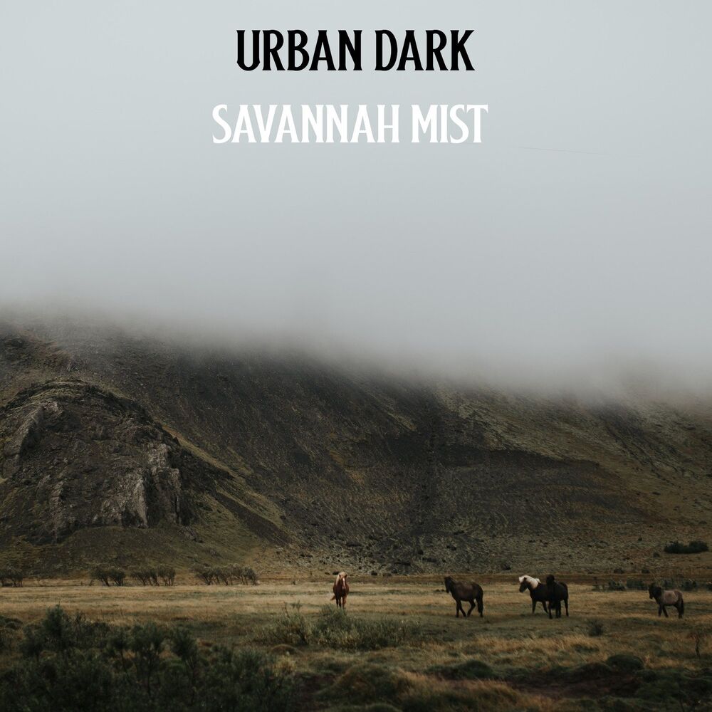 Picture of Urban Dark