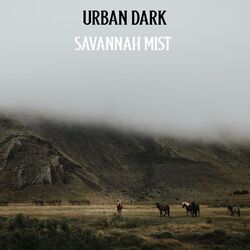 Picture of Urban Dark