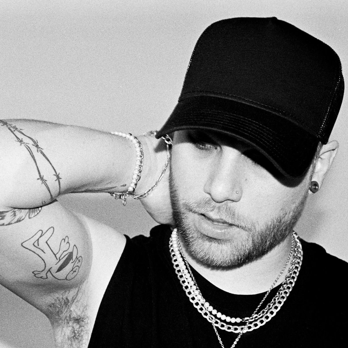 Artist picture of Darci