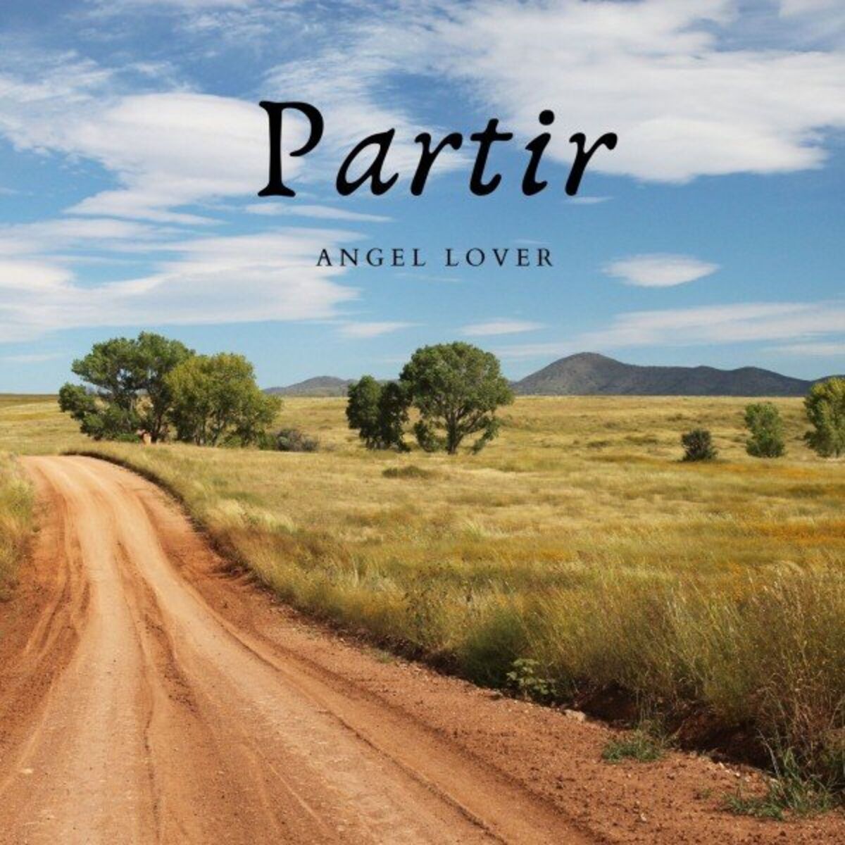 Angel Lover