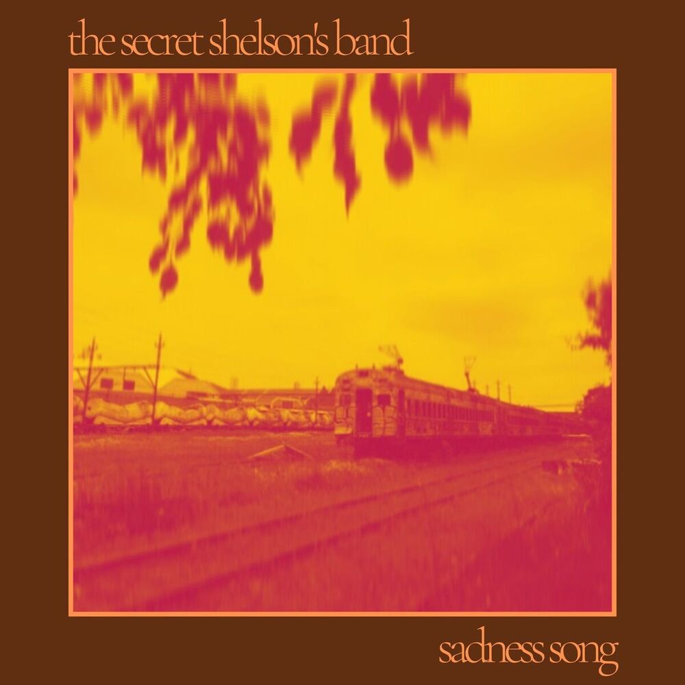 Picture of The Secret Shelson's Band