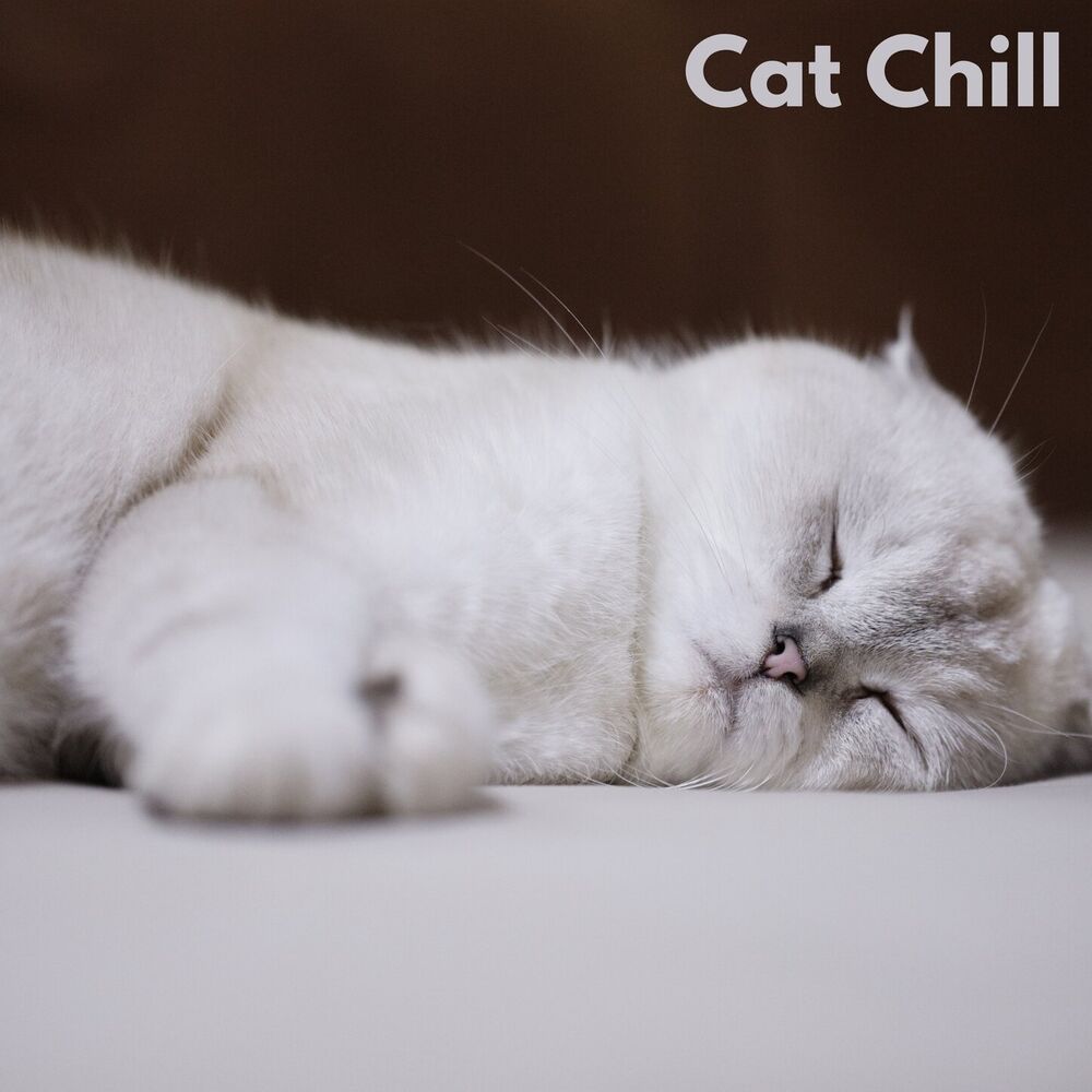 Picture of Music For Pets