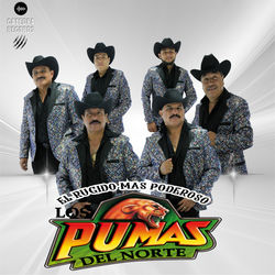 Los Pumas Del Norte