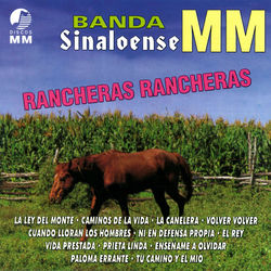 Banda Sinaloense MM