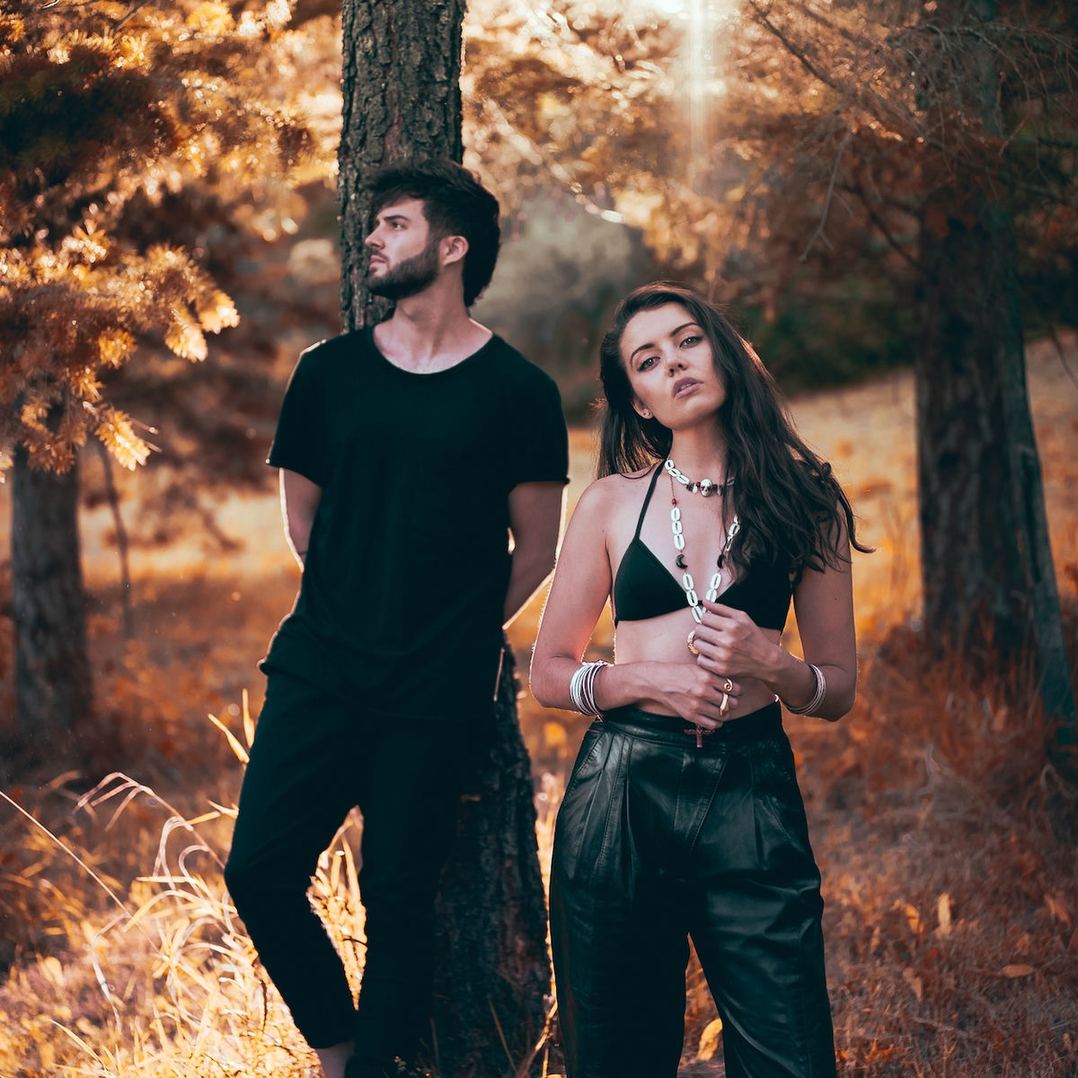 Artist picture of Once A Tree