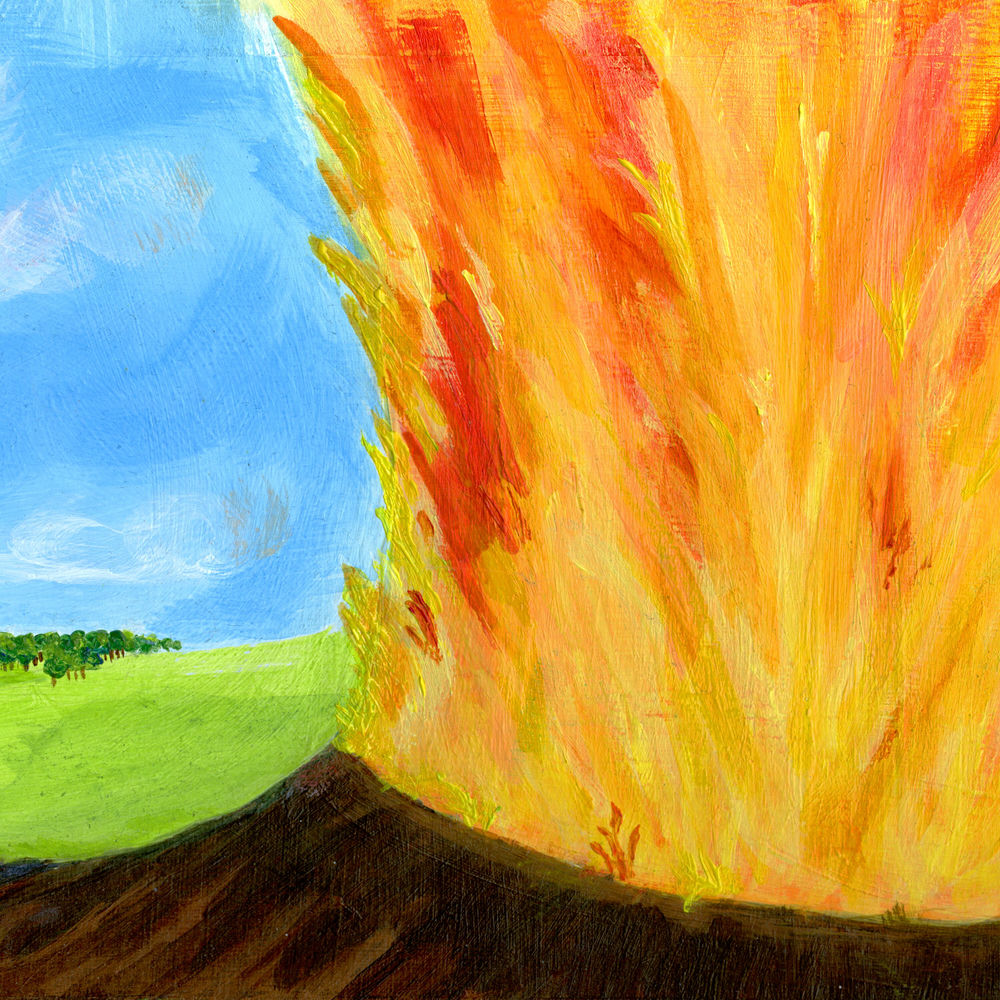 Photo de l'artiste edgar déception