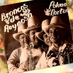 Picture of Los Broncos de Reynosa