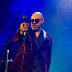 Picture of Barry Adamson