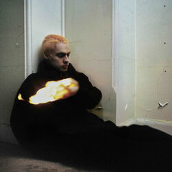 Picture of Sega Bodega