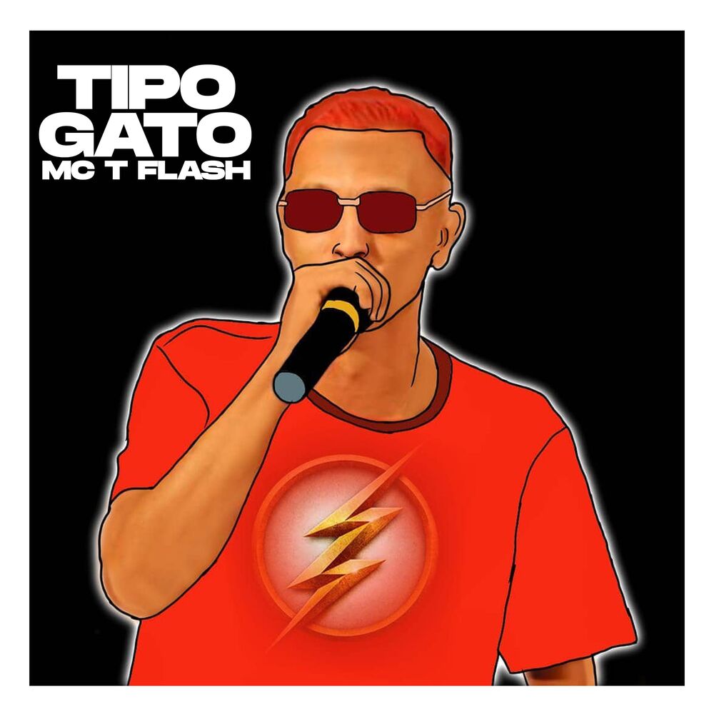 Picture of MC TFlash