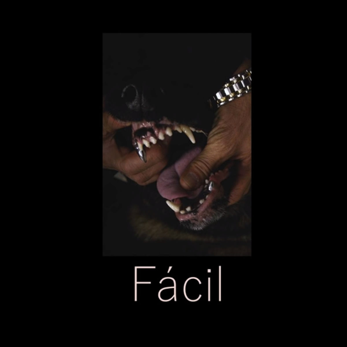 Fazzini