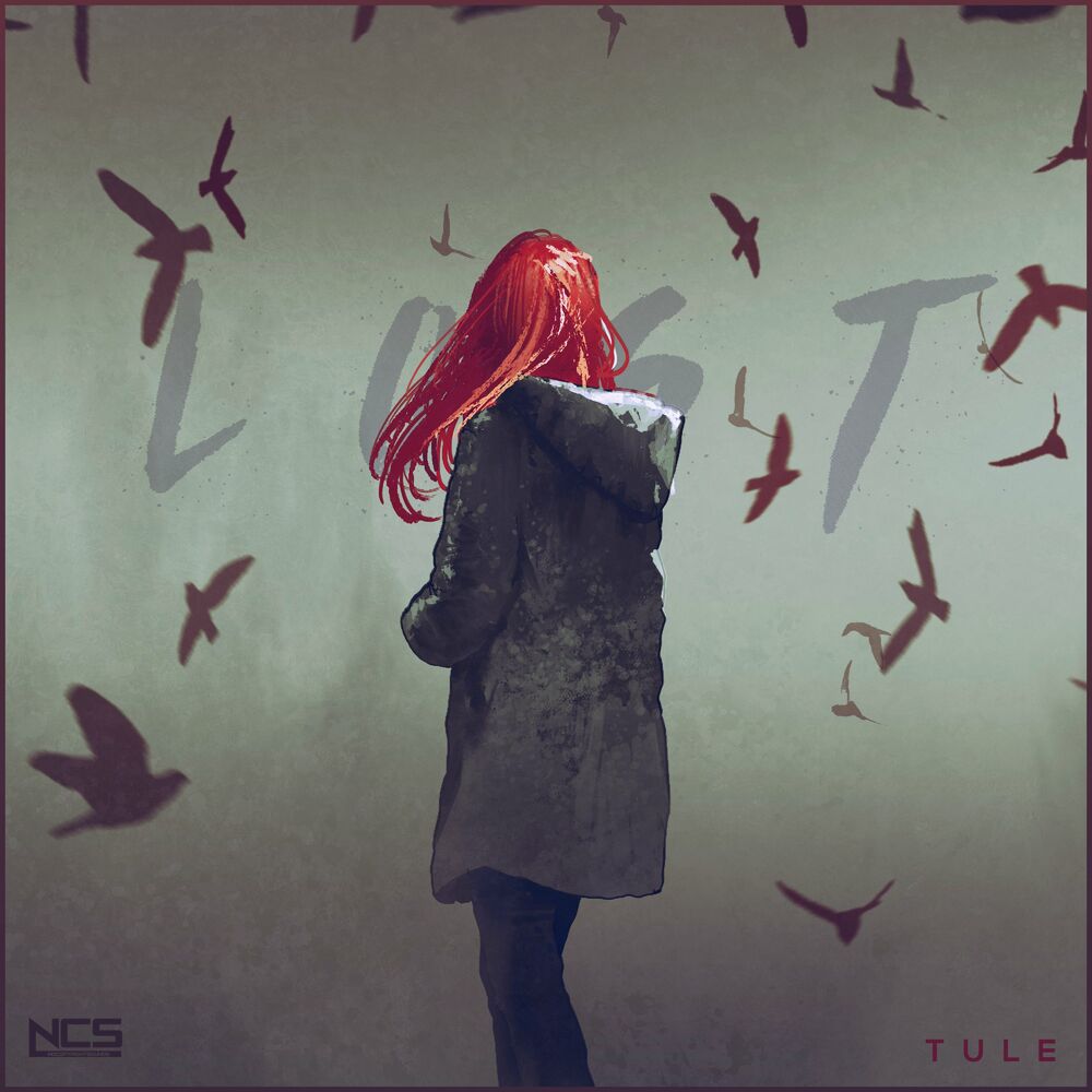 Picture of Lost Sky