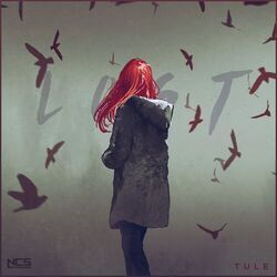 Picture of Lost Sky