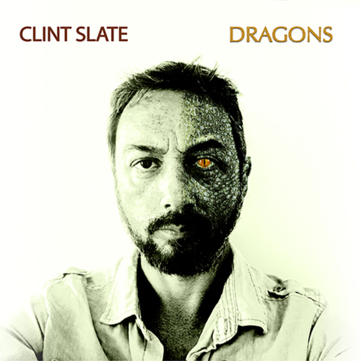 Artist picture of Clint Slate