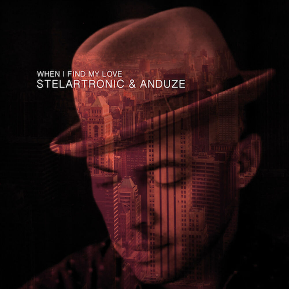 Picture of Stelartronic