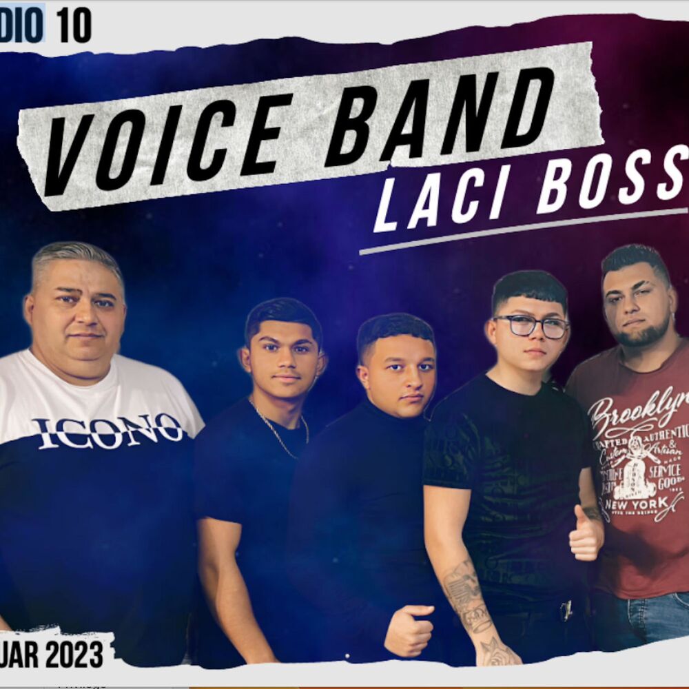 Picture of Voice Band