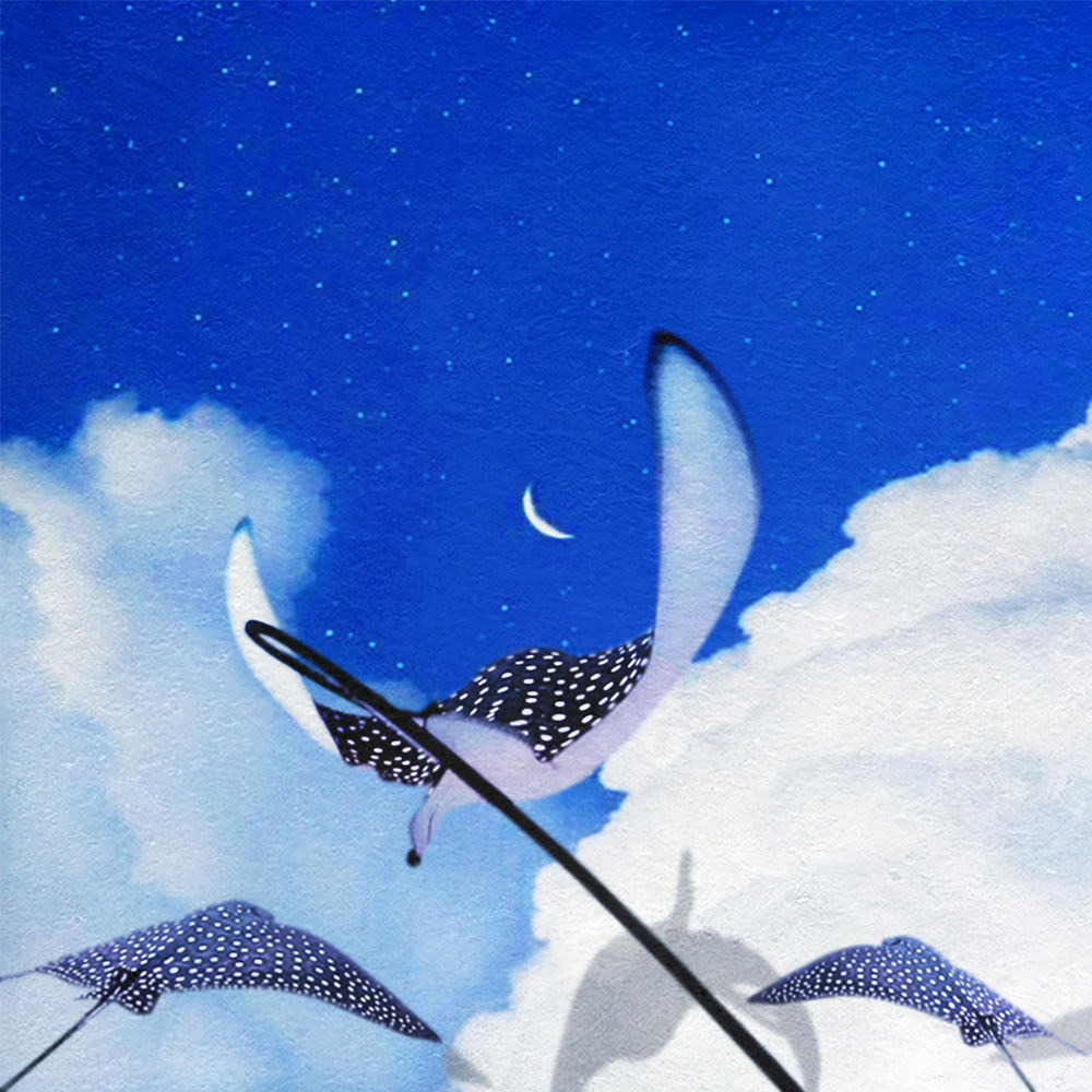 Stephen Terry