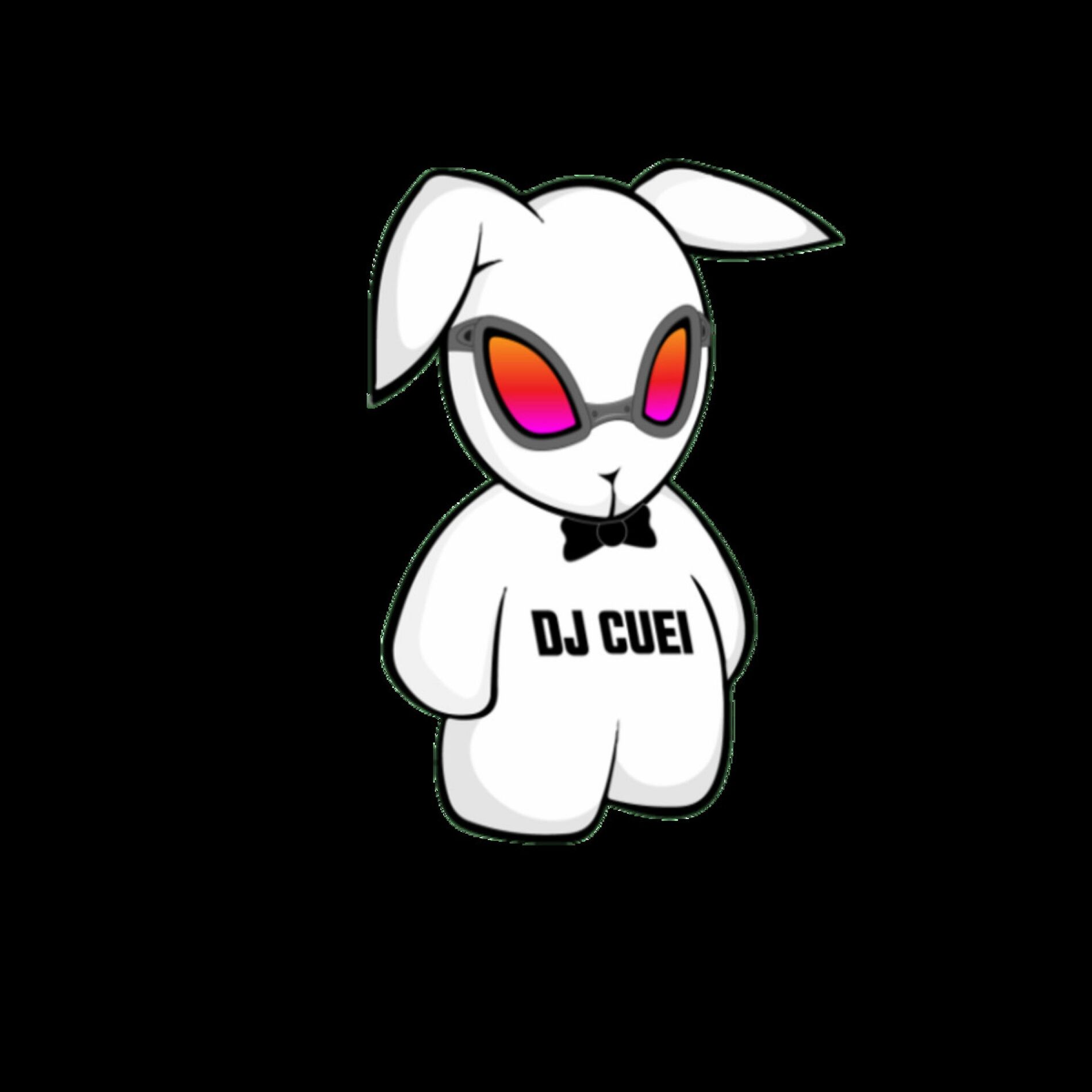 Artist picture of DJ Cuei