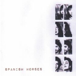 Picture of Spanish Horses