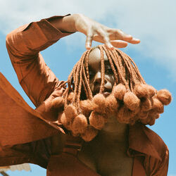 Picture of Falana