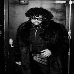 Picture of Sonny Rave