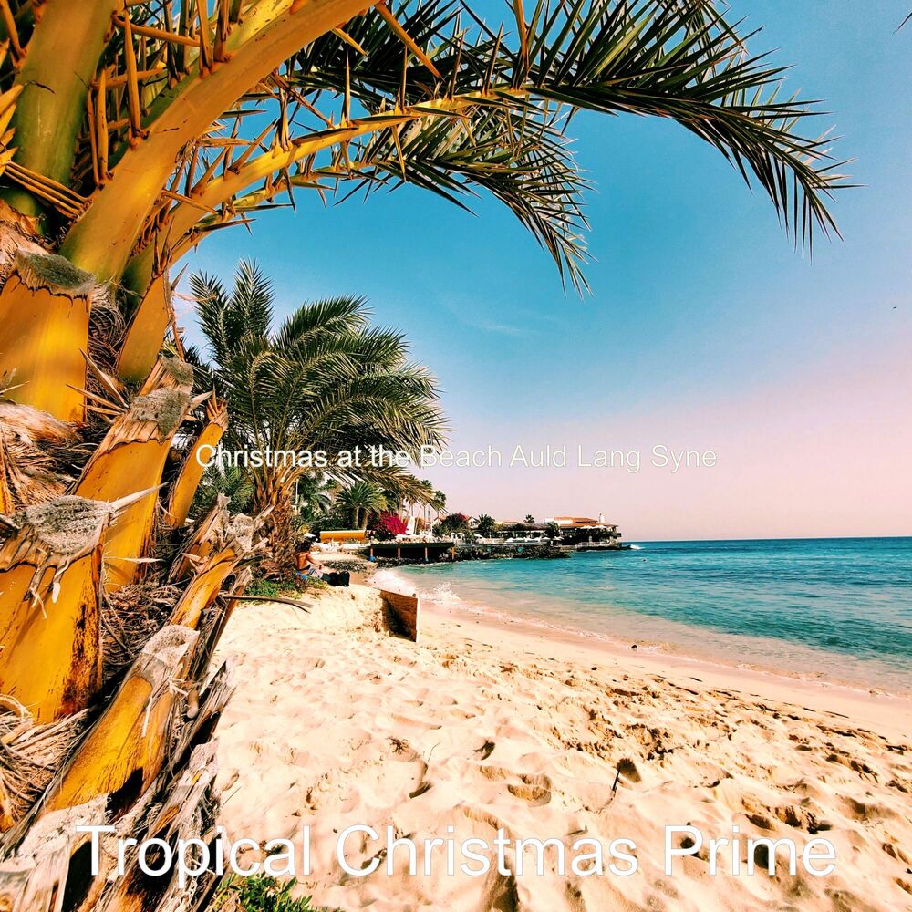 Picture of Tropical Christmas Prime