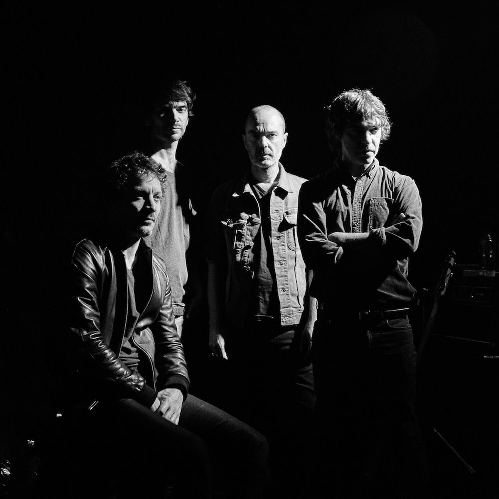Picture of VoX LoW