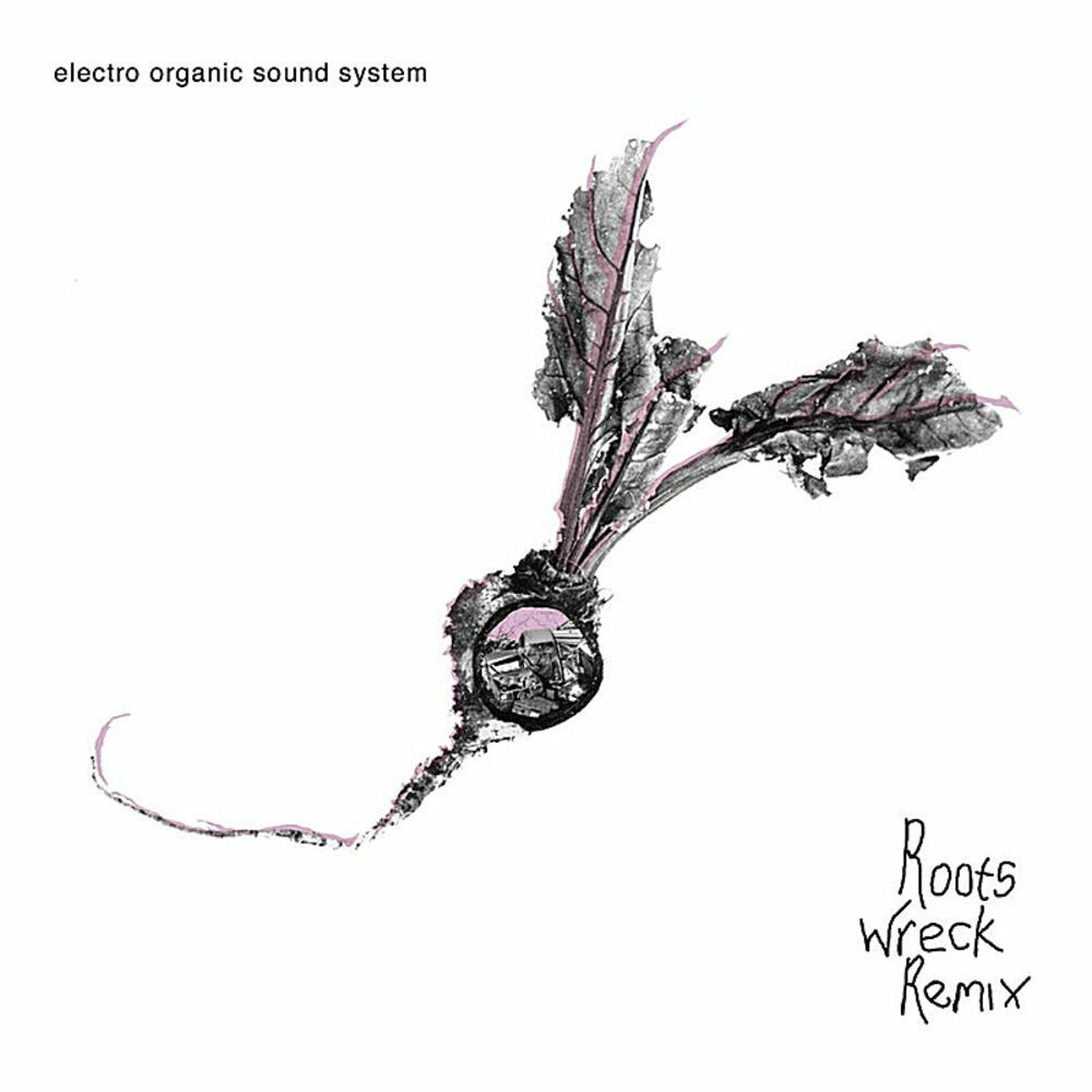 Picture of Electro Organic Sound System