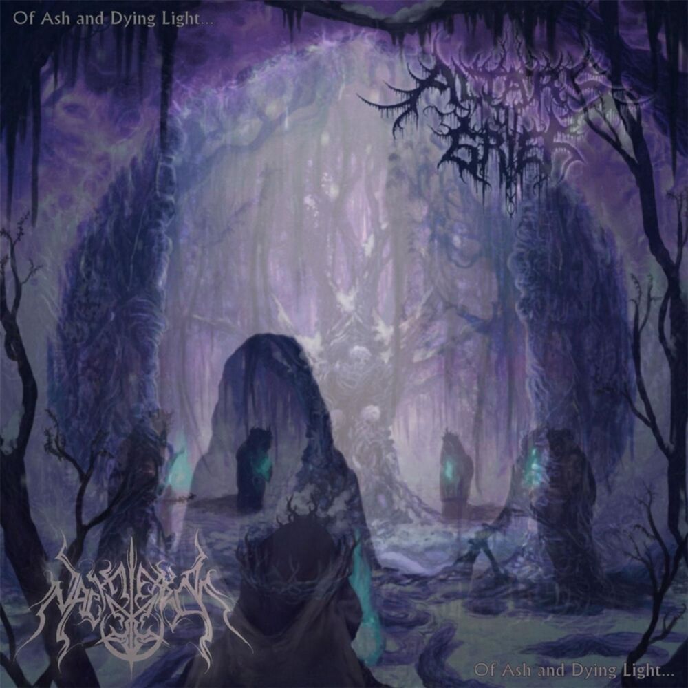 Picture of Nachtterror