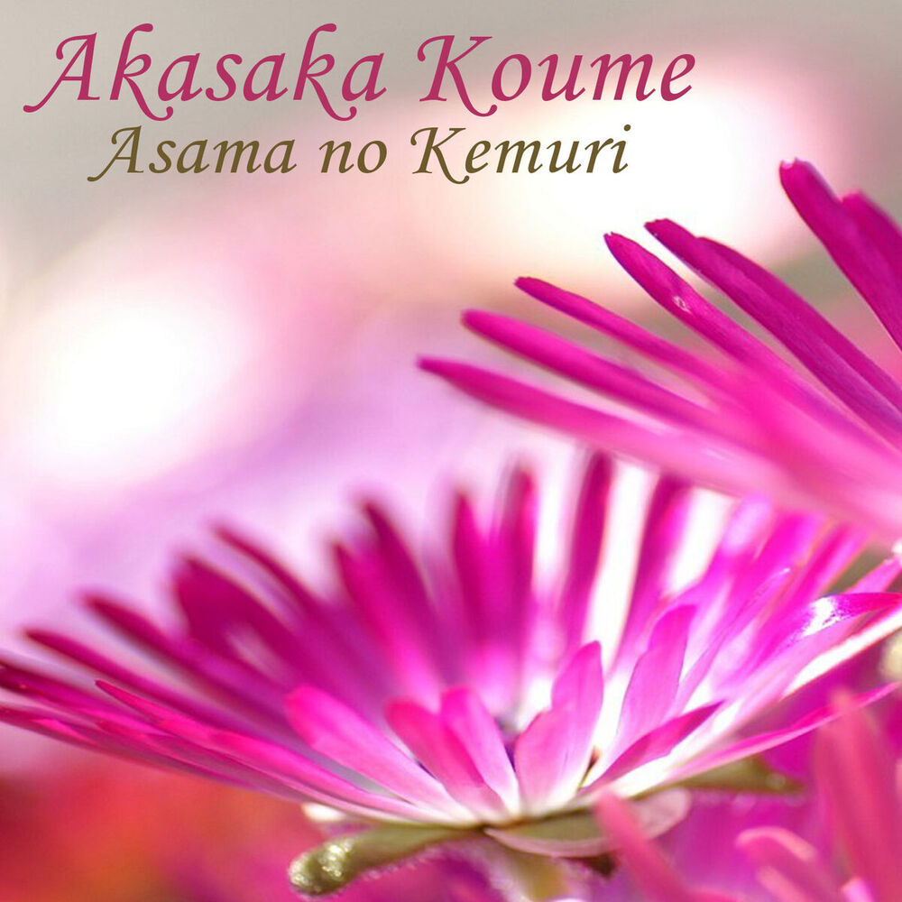Picture of Akasaka Koume