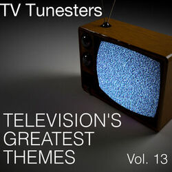 Picture of TV Tunesters