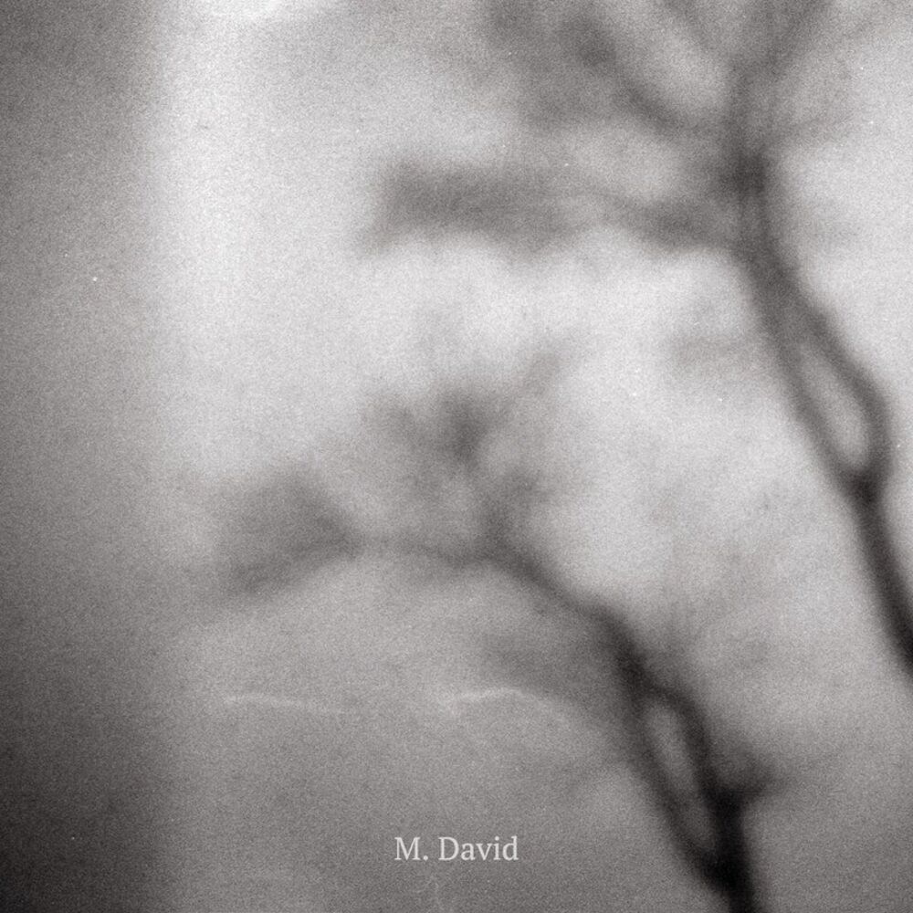 Picture of M. David