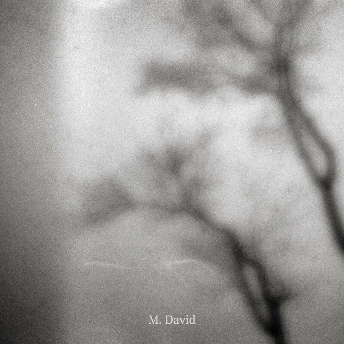 Artist picture of M. David