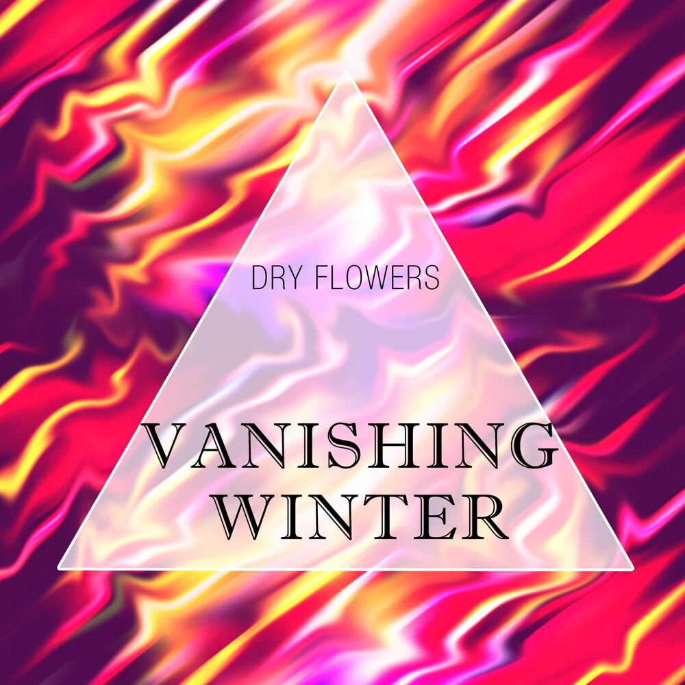 Picture of Dry Flowers