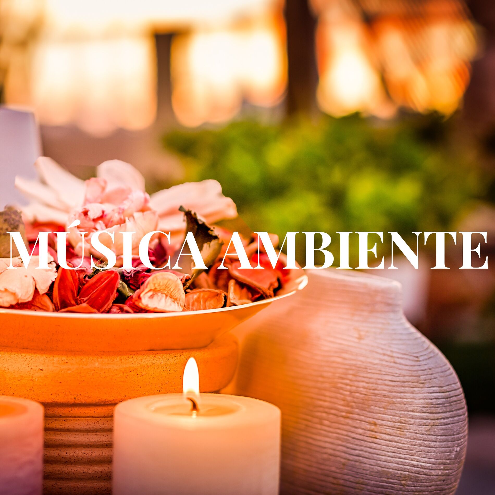 Artist picture of Musica Ambiental
