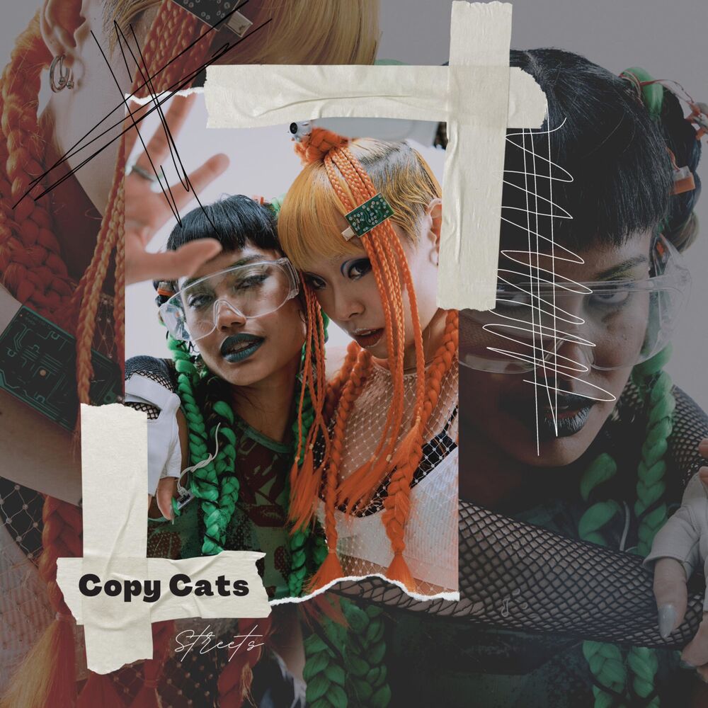 Picture of Copy Cats